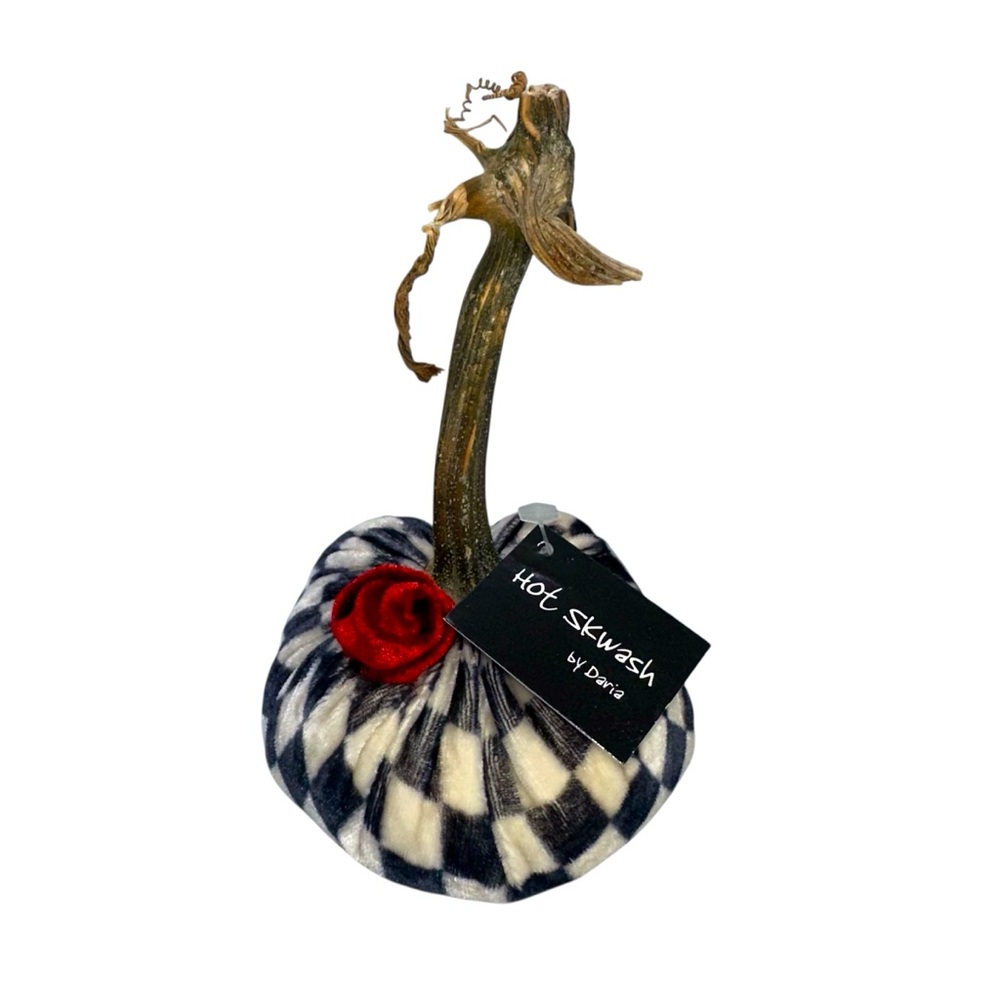 Hot Skwash Black and White with Red Rose Velvet Pumpkin with Natural Stem 6"